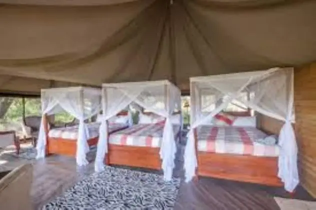 Luxury Çadır, 3 Tek Kişilik Yatak, Sigara İçilmez