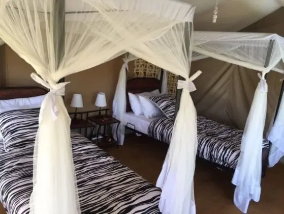 Luxury Çadır, 3 Tek Kişilik Yatak, Sigara İçilmez