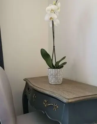Tek Büyük Yataklı Oda, Sigara İçilmez