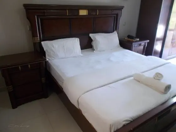 Standard Tek Büyük Yataklı Oda, 1 En Büyük (King) Boy Yatak, Sigara İçilmez