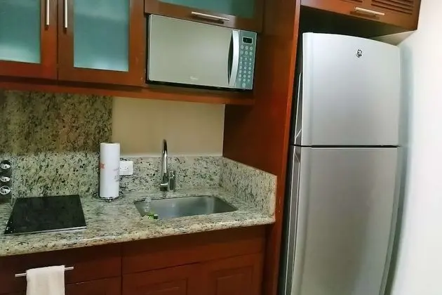 Superior Stüdyo Süit (Penthouse)