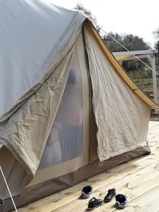Çadır (Ollol)