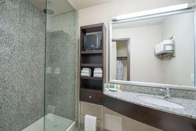 Deluxe Süit, 1 En Büyük (King) Boy Yatak ve Çekyat (Diamond King Suite)
