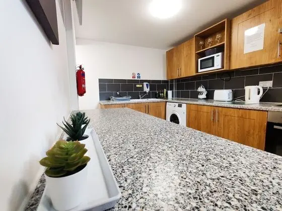 Standard Tek Büyük Yataklı Oda, 1 Çift Kişilik Yatak, Sigara İçilmez, Banyolu/Duşlu