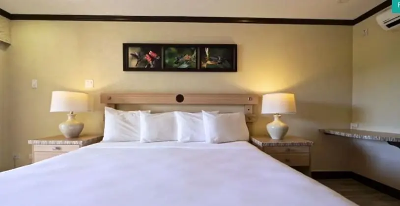 Deluxe Suite, 1 King Bed w/ Sofa Bed, Jetted Tub, Ocean View