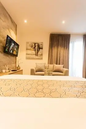 Executive Studio apartment