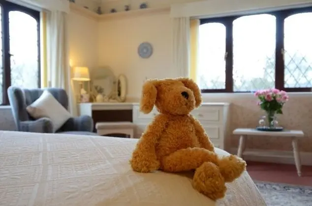Luxury Guest Room