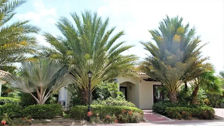 Three Bedroom Villa, Garden View