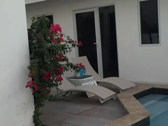 Stüdyo, 1 Yatak Odası, Teras