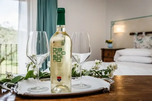 Superior Tek Büyük Yataklı Oda, 1 Yatak Odası