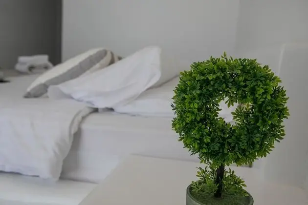 Deluxe Tek Büyük veya İki Ayrı Yataklı Oda, Bahçe Manzaralı