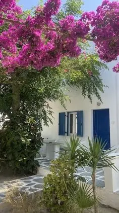 Deluxe Tek Büyük veya İki Ayrı Yataklı Oda, Bahçe Manzaralı