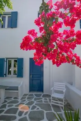 Deluxe Tek Büyük veya İki Ayrı Yataklı Oda, Bahçe Manzaralı