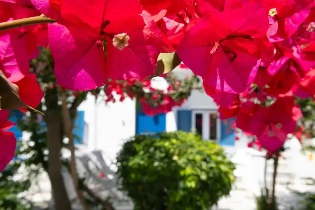 Deluxe Üç Kişilik Oda, Balkon, Bahçe Manzaralı