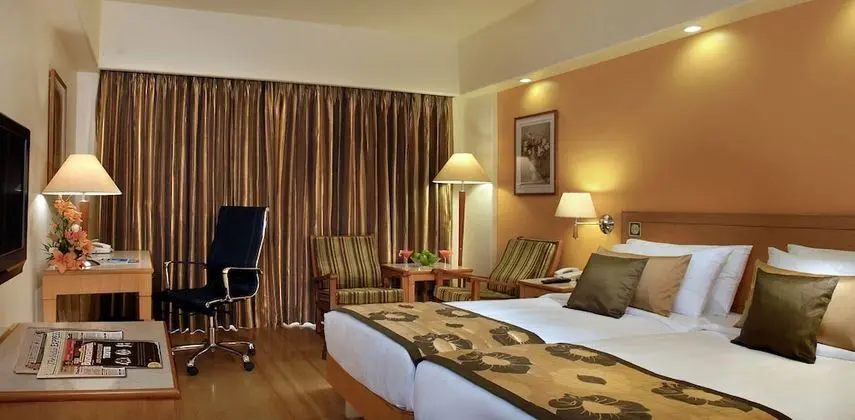 Luxury Oda, 1 En Büyük (King) Boy Yatak