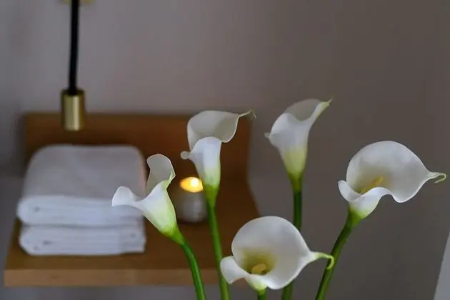 Exclusive Apart Daire, 1 Yatak Odası