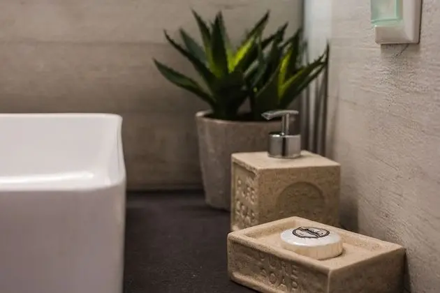 Executive Apart Daire, 1 Büyük (Queen) Boy Yatak ve Çekyat, Balkon