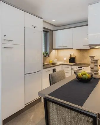 Acropolis Stylish Condo