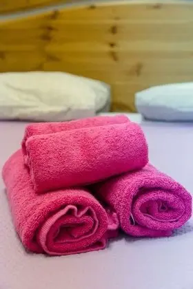 Tek Büyük Yataklı Oda, Özel Banyo (3)