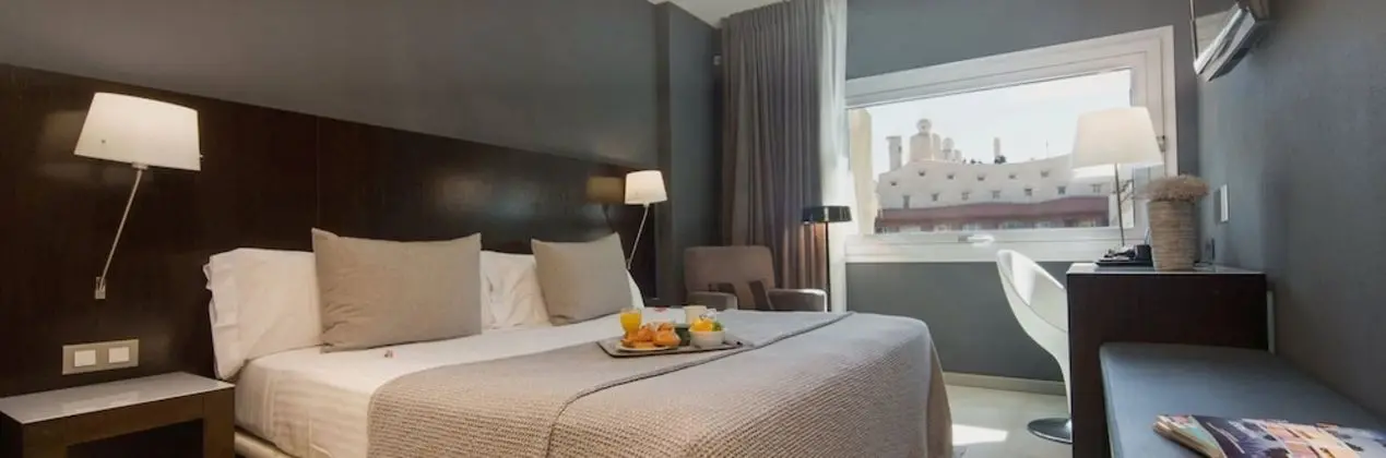 Standard Tek Büyük Yataklı Oda (with Extra Bed)