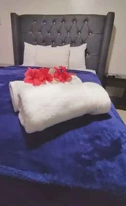 Economy Oda
