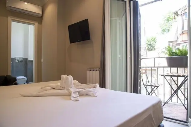 Superior Tek Büyük veya İki Ayrı Yataklı Oda