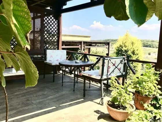 Standard Tek Büyük Yataklı Oda, 1 Çift Kişilik Yatak
