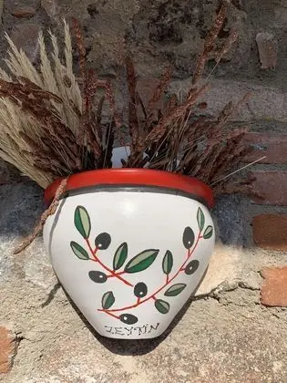 Standard Oda (Zeytin)