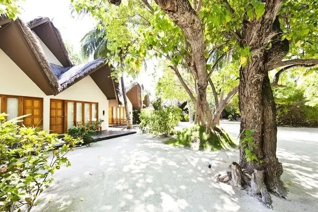 Beach Villa with Premium All inclusive