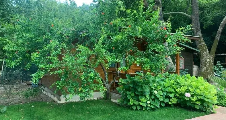 Bungalov (Standart)