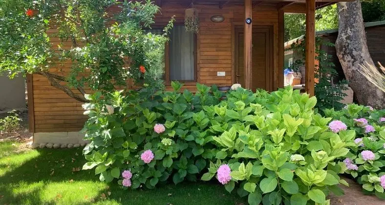 Bungalov (Standart)