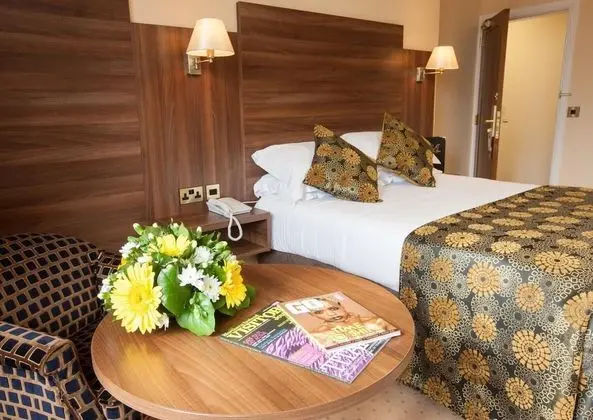 Standard Büyük Yataklı Tek Kişilik Oda, 1 Çift Kişilik Yatak