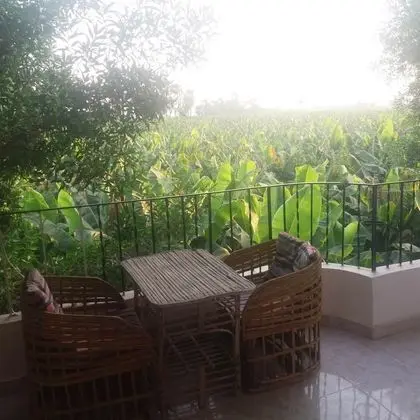 Royal Apart Daire, Bahçe Manzaralı