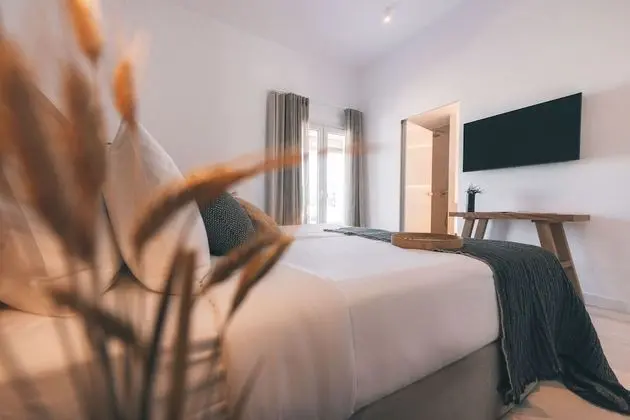 Design Tek Büyük Yataklı Oda, 1 Yatak Odası, Bahçe Manzaralı