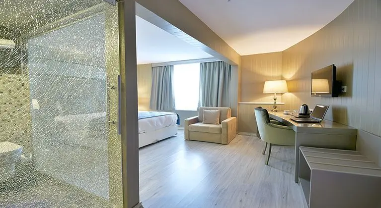 Deluxe Aile Odası, Şehir Manzaralı