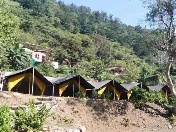 Deluxe Çadır