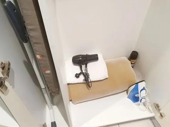 Süit