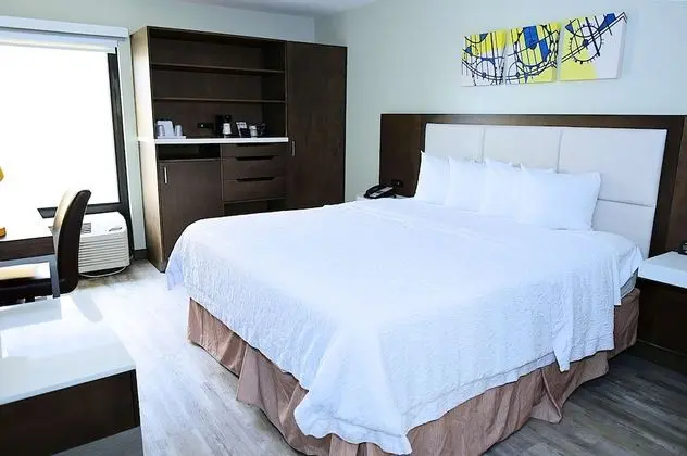 Deluxe Oda, 1 En Büyük (King) Boy Yatak, Sigara İçilmez (Walk-in Shower)