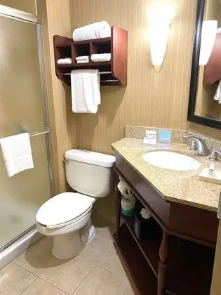 Standard Oda, 1 En Büyük (King) Boy Yatak, Sigara İçilmez (Walk-in Shower;with Sofabed)