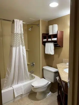 Standard Oda, 2 Çift Kişilik Yatak, Sigara İçilmez, Buzdolabı ve Mikrodalga