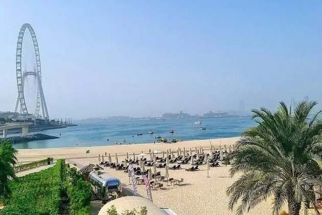 Apart Daire, 1 Yatak Odası, Engellilere Uygun