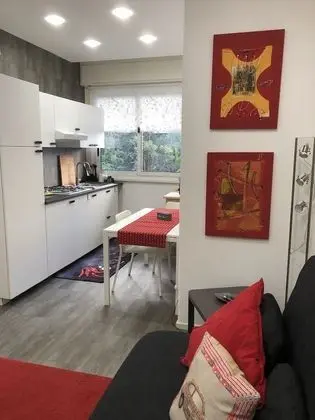 Apart Daire, 1 Yatak Odası