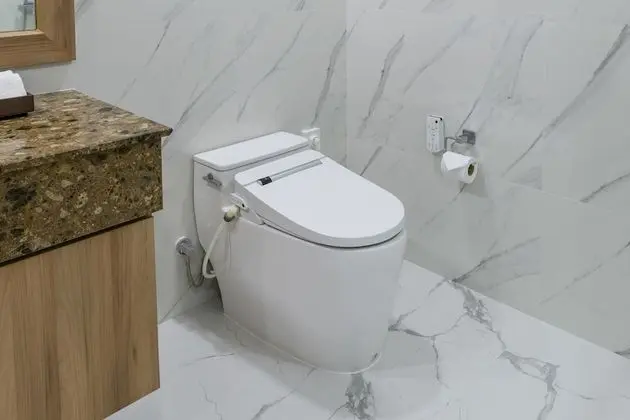 Deluxe Stüdyo, 1 En Büyük (King) Boy Yatak, Şehir Manzaralı
