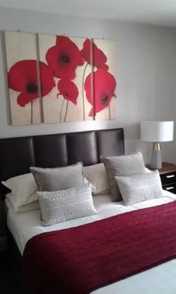 Deluxe Tek Büyük Yataklı Oda, Sigara İçilmez