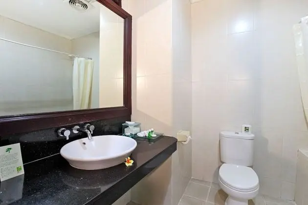 Deluxe Tek Büyük veya İki Ayrı Yataklı Oda