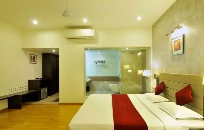 Deluxe Oda, 1 Çift Kişilik Yatak, Sigara İçilmez