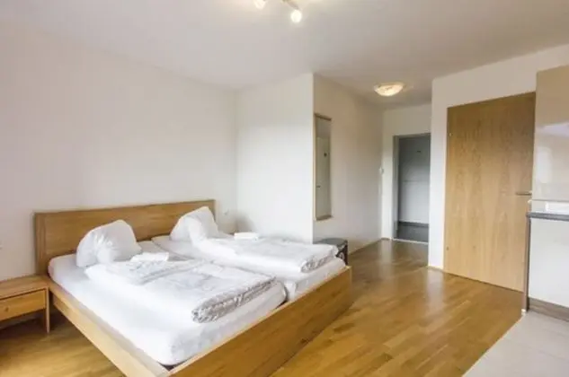 Stüdyo, 1 Yatak Odası, Balkon (2 personen incl. Summer Card)