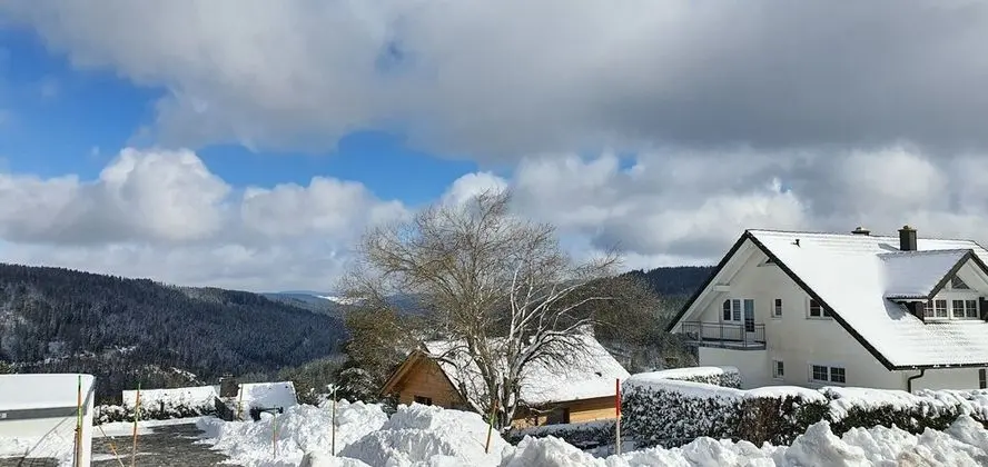 Family Apart Daire, Teras