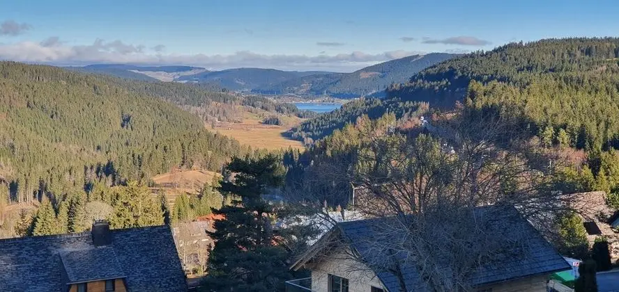 Family Apart Daire, Teras