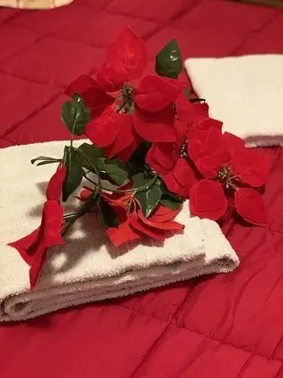 Deluxe Üç Kişilik Oda, Ortak Banyo, Şehir Manzaralı